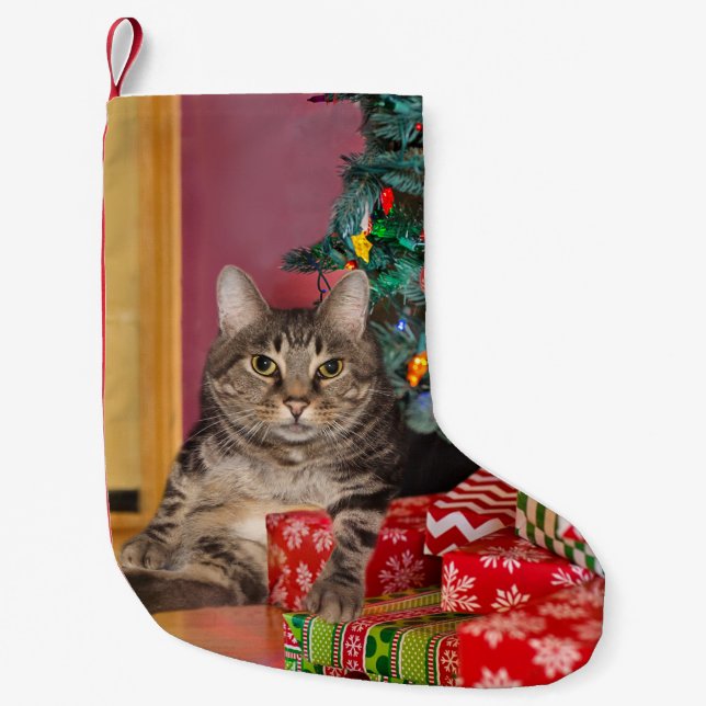 Tabby kattunge jul liten julstrumpa (Framsidan)