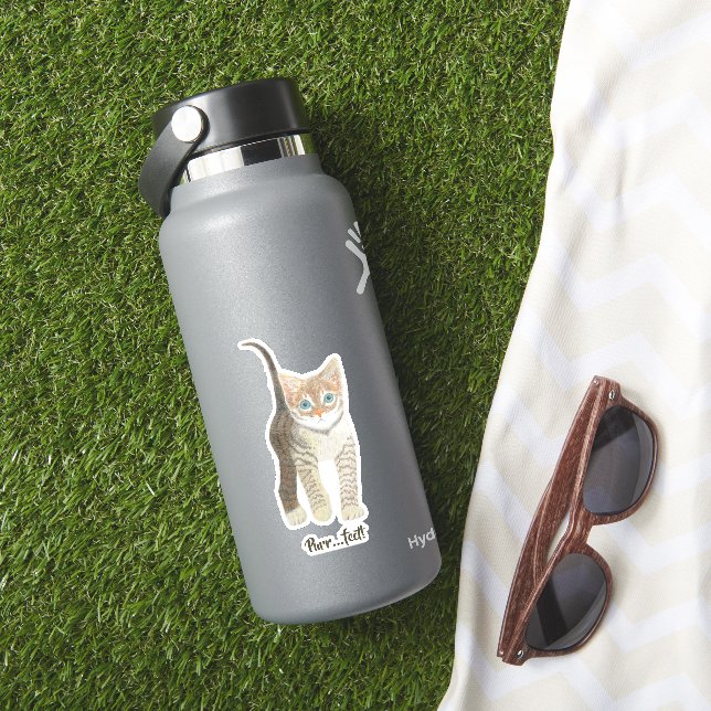 Tabby Kattunge  Klistermärken (HydroFlask Insitu)