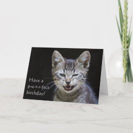 Tabby Kitten Grattis på födelsedagen Kort