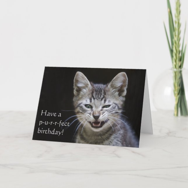 Tabby Kitten Grattis på födelsedagen Kort (Framsida)