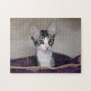 Tabby Kitten i en Lila Bed Pussel