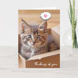 Tabby Kitten i kartong. Kort