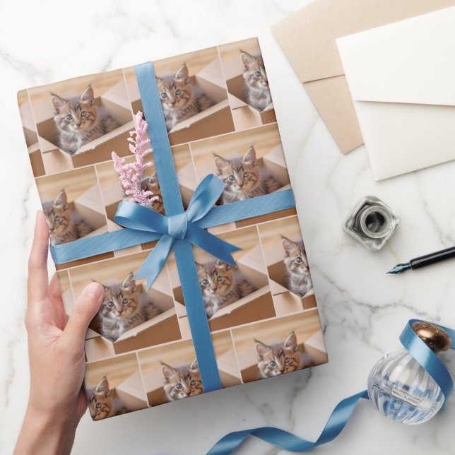 Tabby Kitten i kartong Presentpapper (Gifting)