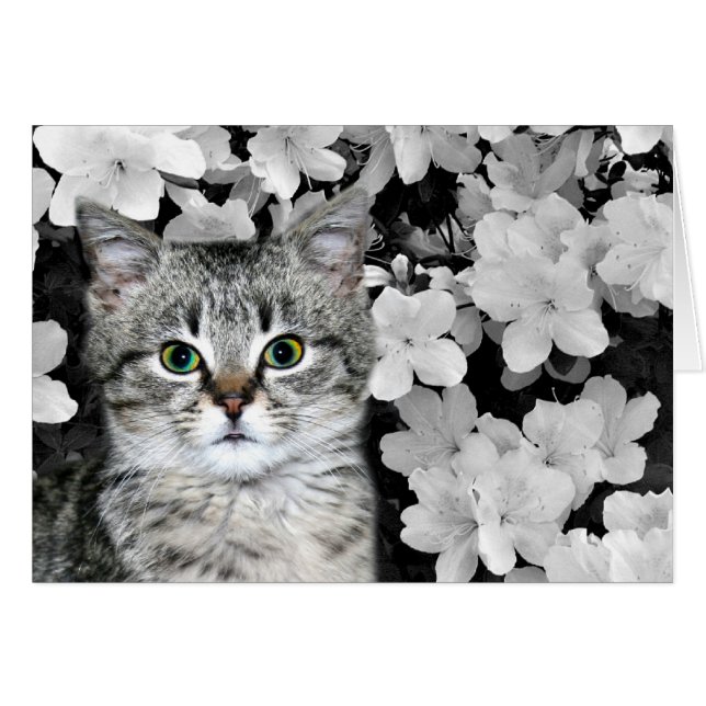 Tabby kitten in azaleas hälsningskort (Framsidan Horizontal)
