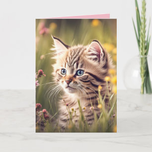 Tabby Kitten in Wildblommor Kort