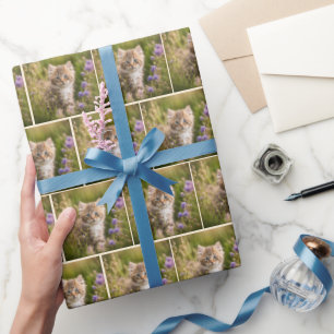 Tabby Kitten in Wildblommor Presentpapper
