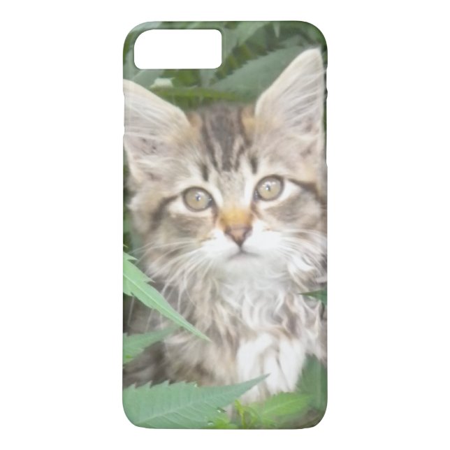 Tabby Kitten iPhone 7 plus fodral Case-Mate iPhone Skal (Baksida)