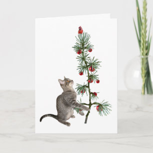 Tabby Kitten Julgran kort