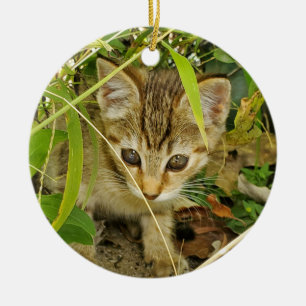 Tabby kitten julgransprydnad keramik