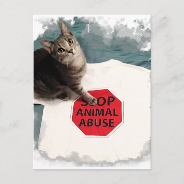 Tabby kitten med orsak Stop Animal Abuse Vykort (Framsida)