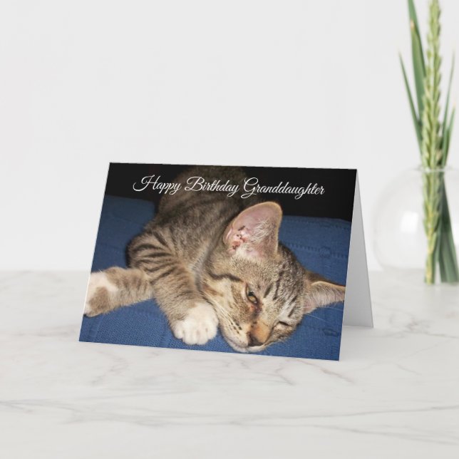 Tabby Kitten Personlig Granddotter Birthday Kort (Framsida)