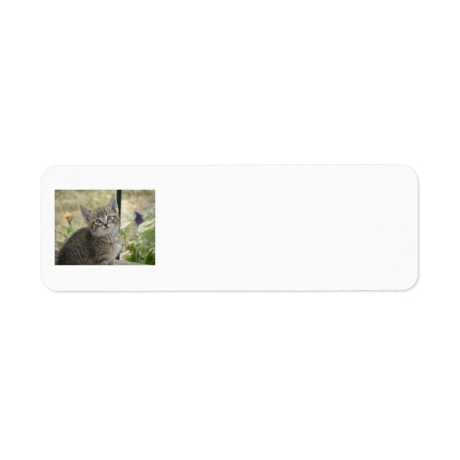 Tabby Kitten Returetiketters Returadress Etikett (Framsidan)