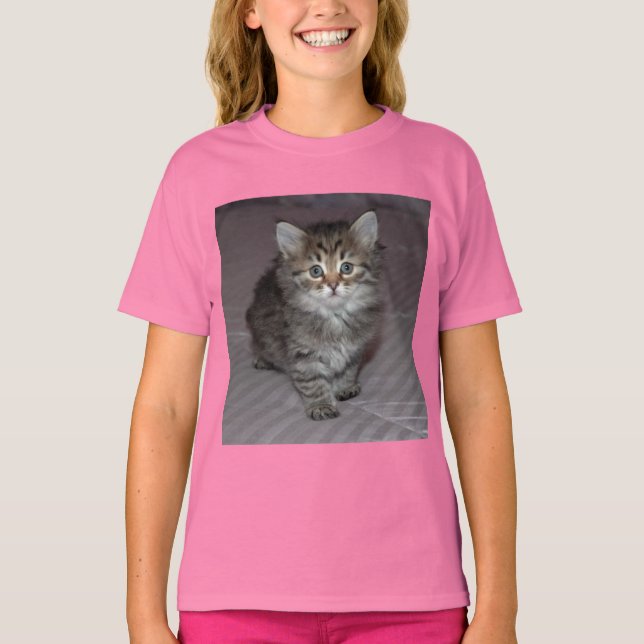 Tabby Kitten Shirt T-shirt (Framsida)