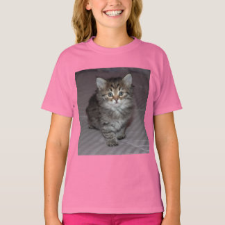 Tabby Kitten Shirt Tröja