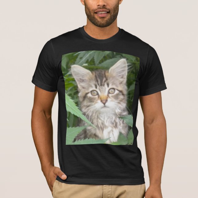 Tabby Kitten T-shirt (Framsida)