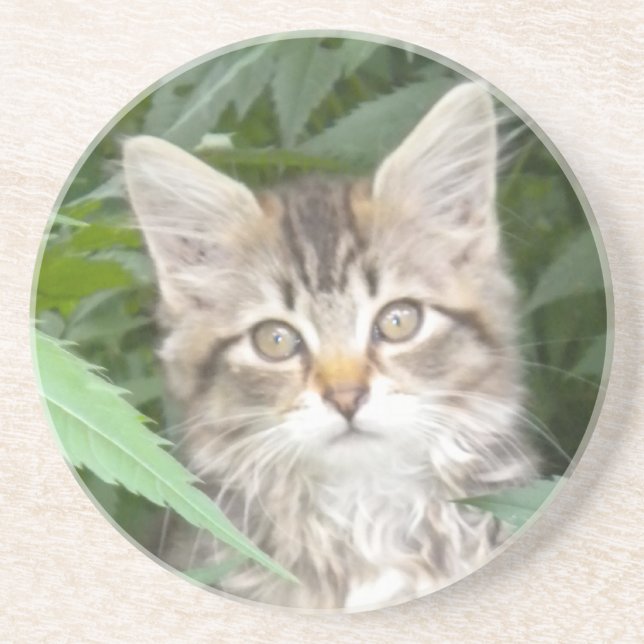Tabby Kitten Underlägg Sandsten (Framsidan)