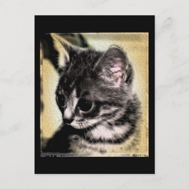 Tabby Kitten Vykort (Framsida)
