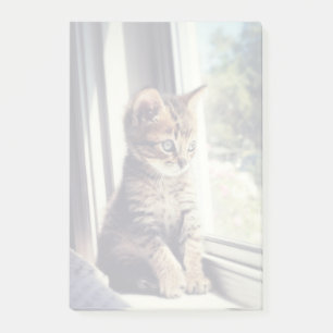 Tabby Kitten Watching Post-it Block
