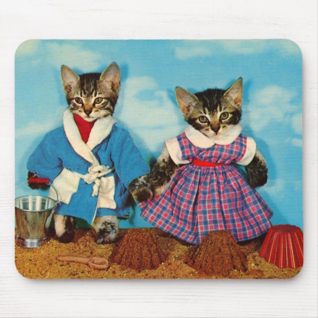 tabby kittens på stranden RPPC Musmatta (Framsidan)