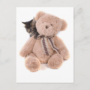 tabby kittens spel med en nalle vykort