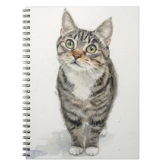 Tabby Muse Spiral Notebook Anteckningsbok