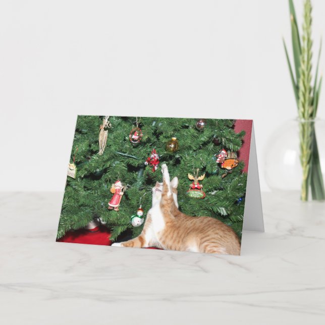 Tabby och Julgran Helgkort (Framsida)