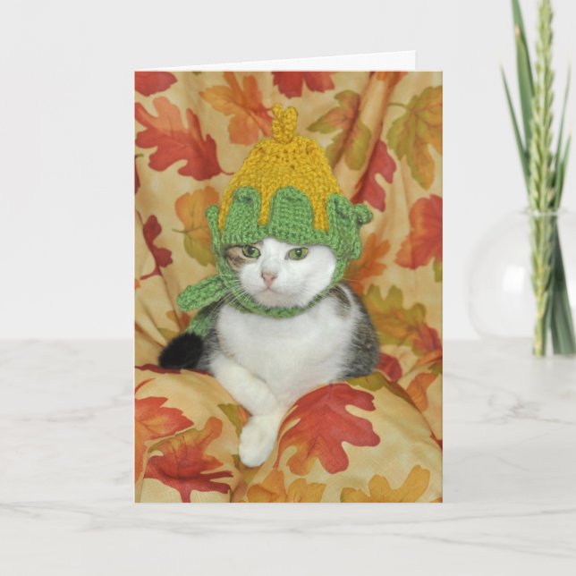 Tabby och vit katt- Thanksgiving eller fallkort Kort (Framsida)
