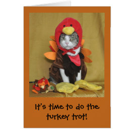 Tabby- och vitkattthanksgivingkort hälsningskort