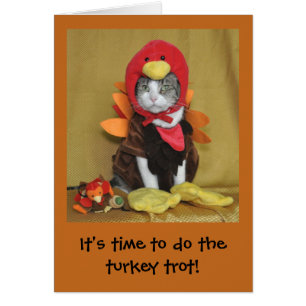 Tabby- och vitkattthanksgivingkort hälsningskort