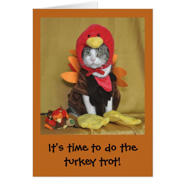 Tabby- och vitkattthanksgivingkort hälsningskort (Framsidan)