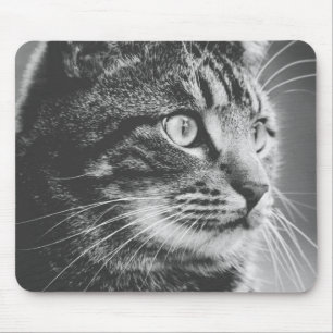 Tabby-profil Big Öga Svartvit Musmatta