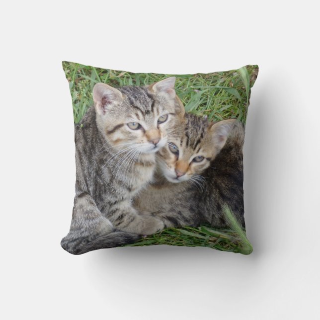 Tabby Sisters Dekorativ kudde (Framsida)
