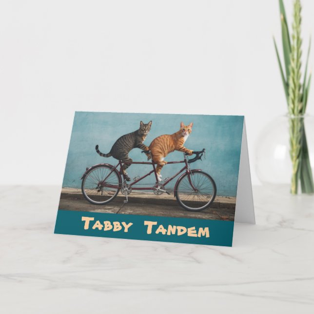 Tabby Tandem Kort (Framsida)