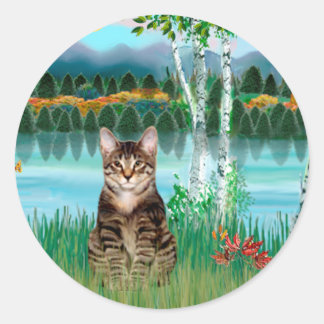 Tabby Tiger Katt - Björkar Runt Klistermärke