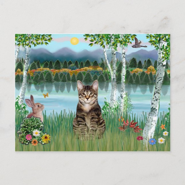 Tabby Tiger Katt - Björkar Vykort (Framsida)