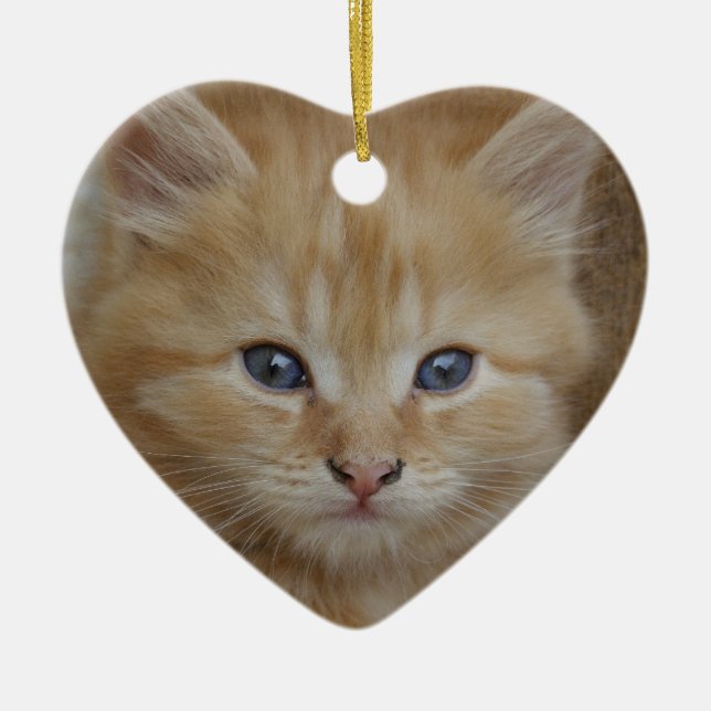 Tabby Tomcat Kitten Julgransprydnad Keramik (Framsidan)