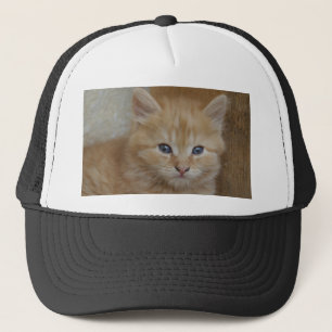 Tabby Tomcat Kitten Keps