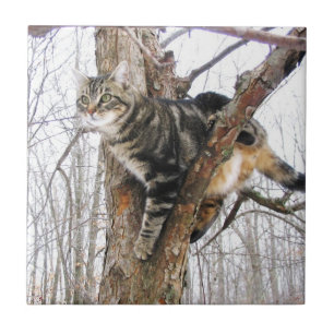 Tabbycat Tile Kakelplatta