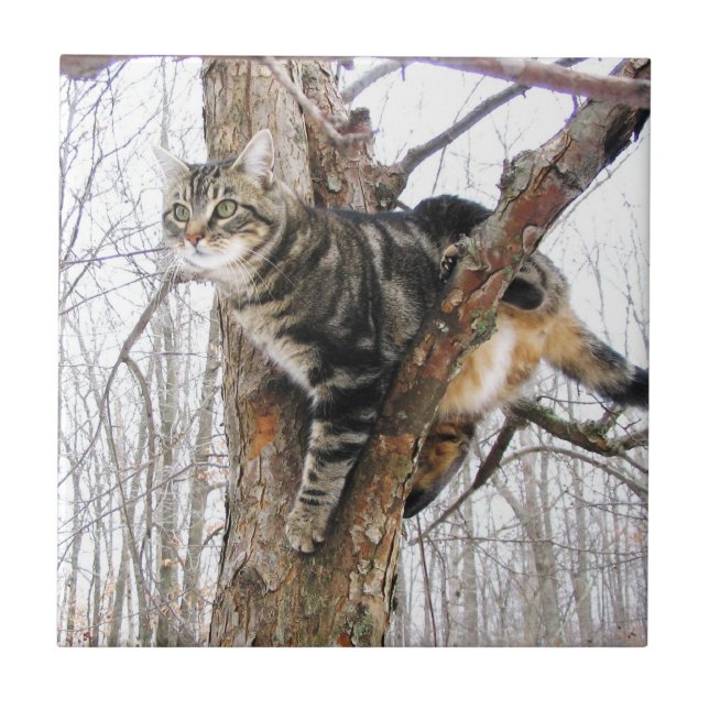 Tabbycat Tile Kakelplatta (Framsidan)