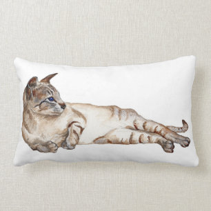 tabbyen pekar den siamese katten, lumbar lumbarkudde