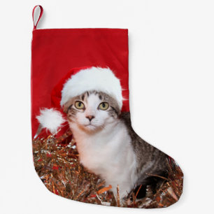 Tabbykattunge i den Santa hatten Liten Julstrumpa