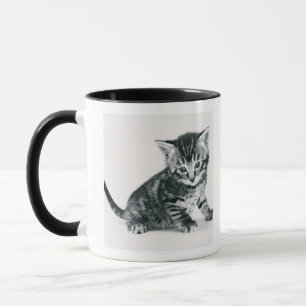 Tabbykattunge Mugg