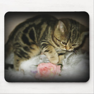 Tabbykattungemousepad Musmatta