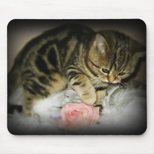 Tabbykattungemousepad Musmatta (Framsidan)
