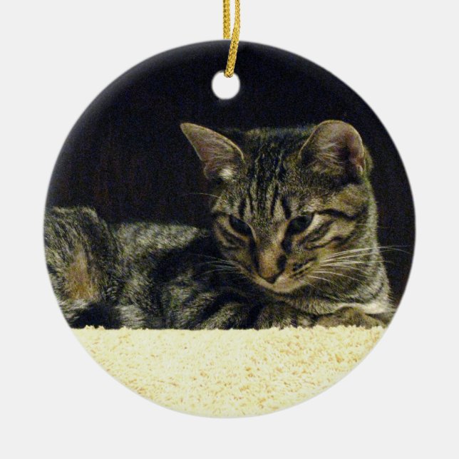 Tabbyprydnad Julgransprydnad Keramik (Framsidan)