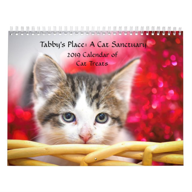 Tabbys ställekalender kalender (Omslag)