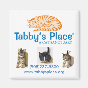 Tabbys ställemagnet magnet