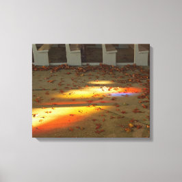 Tabernacle Lövs and Light - Martha's Vineyard Canvastryck