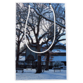 Tabernacle Morgon efter Snö - Martha's Vineyard