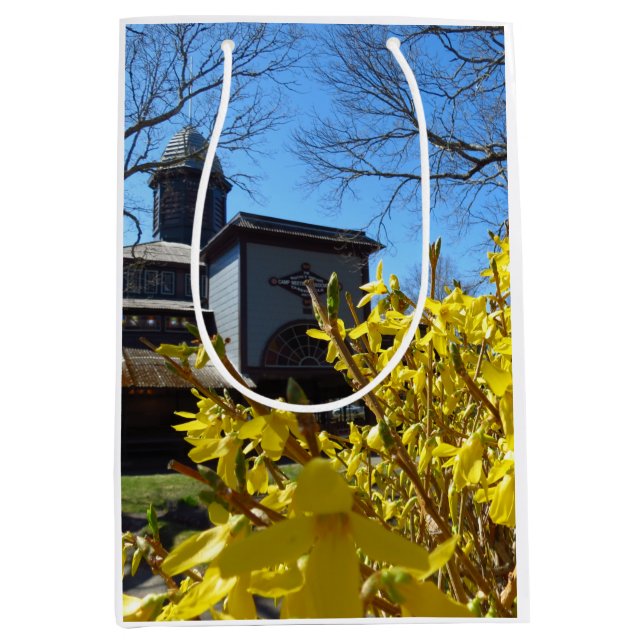 Tabernacle och Forsythia - Martha's Vineyard (Framsidan)